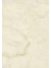 caspio Damen Strickpullover in Wollweiss