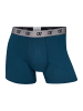 CR7 Boxer Basic Trunk Organic in mehrfarbig3