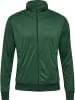 Hummel Hummel Anzug Hmlfelix Multisport Herren in DARK GREEN