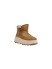 Ash Camel Damen Stiefel