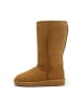 ara Winterstiefel in Braun