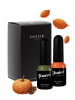 Didier Lab Nagellack Base/Top Coat 2er Set Hard Base Coat in clear