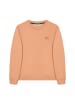 Polo Club Sweatshirt in Braun