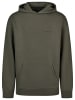 DENIMFY Sweatshirt DFMaxim in Oliv