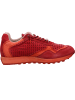 Cetti Sneaker Low in rot