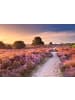 Ravensburger Ravensburger Puzzle 1.000 Teile Traumpfad in Rosa in bunt