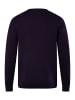 Boston Park Pullover in dunkel violett