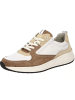 Sioux Sneaker für Herren in beige
