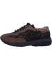 Paul Green Sneaker Low in braun