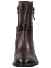 TT. BAGATT Stiefelette in Bordeaux