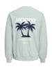 JACK & JONES Junior Sweatshirt 'Club Summer' in grau