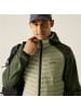 Regatta Hybrid Steppjacke Andreson Hybrid in Light Sage