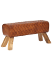 FineBuy Sitzbänk in Braun / Leder / 89x35x46
