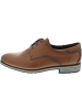 LLOYD Tambo Business Schuh Braun