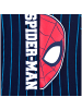 Spiderman Langarmshirt Spider-Man in Dunkelblau
