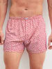 Calida Boxershorts in daret red