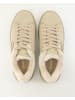 BLAUER USA Sneaker low in Beige