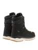 LOWA Stiefel RENEGADE EVO ICE 2 GTX in schwarz/honig