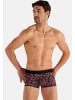 HOM Hipster Short / Pant Malcom in Schwarz / rot