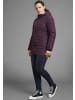 Polarino Steppjacke in Midnight Plum