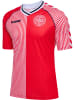 Hummel T-Shirt Dbu 86 Fußball Erwachsene in RED/WHITE