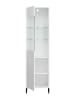 Feldmann-Wohnen Vitrine Caseres weiß | schwarz 50 / 38 / 184cm