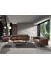 Angel Cerdá Chester-Sofa 6139 in Braun / Gold