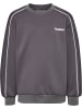 Hummel Sweatshirt Hmljr Interlock Kinder in SHARK