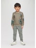 s.Oliver Sweatshirt  in  00D2_beige
