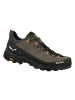 Salewa Trekkingschuhe low in braun