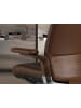 Angel Cerdá Büro-Drehstuhl 4211 in Braun / Stahl – (B)74 x (H)70 x (T)118 cm