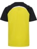 Hummel Shirt "Lead 2.0 Jersey S/S" in Gelb