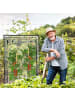 relaxdays Tomatengewächshaus in Transparent/ Schwarz - (B)100 x (H)150 x (T)50 cm