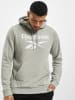 Reebok Reebok Hoodie in grey