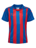 Hummel T-Shirt Hmlcore Kinder in TRUE BLUE/TRUE RED