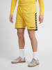 Hummel Hummel Shorts Hmlauthentic Multisport Herren Feuchtigkeitsabsorbierenden Leichte Design in SPORTS YELLOW/BLACK