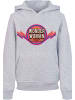 F4NT4STIC Hoodie in heather grey