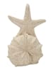 Mauro Ferretti Beigefarbene, seesternförmige Kunstharzskulptur, 18 x 13 x 21,2 cm