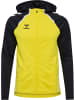 Hummel Hoodie "Lead 2.0 Zip Hoodie" in Gelb
