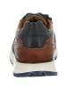Bugatti Sneaker Low in braun