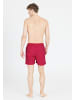 Cruz Shorts Eyemouth in 4306 Barberry