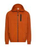 Camel Active Sweatshirt in cinnamon