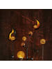 STAR Trading Solar-Gartenstecker ,Melilla', Mond, bernsteinfarbene Kugel mit Licht,