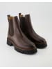 Zahira Chelsea Boots in Braun