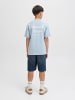 JACK & JONES Junior T-Shirt JORNORREBRO TYPO TEE CREW NECK JNR in skyway