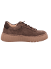 Gabor Schnürschuhe in cognac