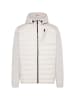CAMP DAVID  Softshelljacke 'Fitness Challenge' in hellgrau