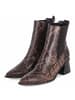 Paul Green Stiefeletten in braun