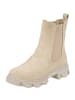 palado Chelsea Boots in Beige