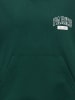 ONLY & SONS Junior Kapuzenpullover in Pine Grove